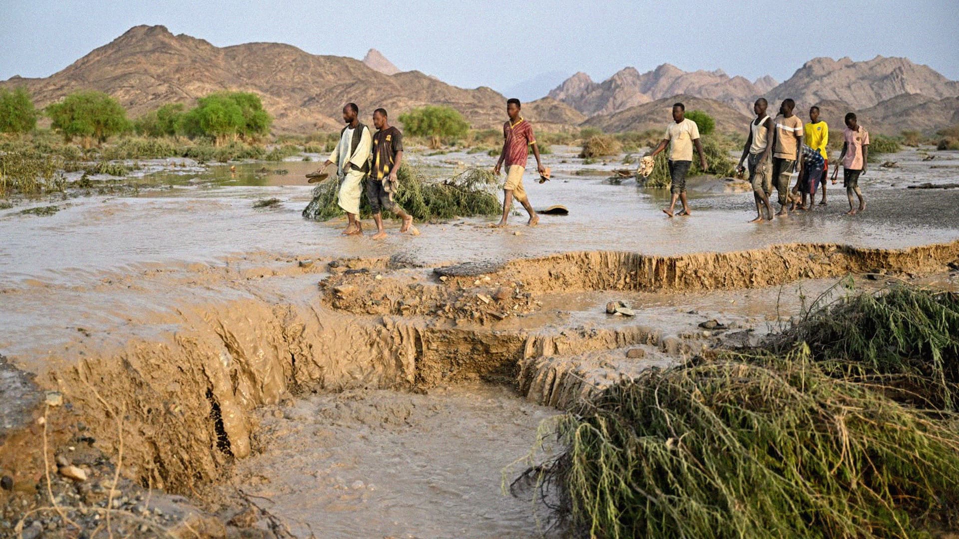 صورة سودانيون يشكّلون وفداً شعبياً للتحقيق بسبب كل هذا يا الله